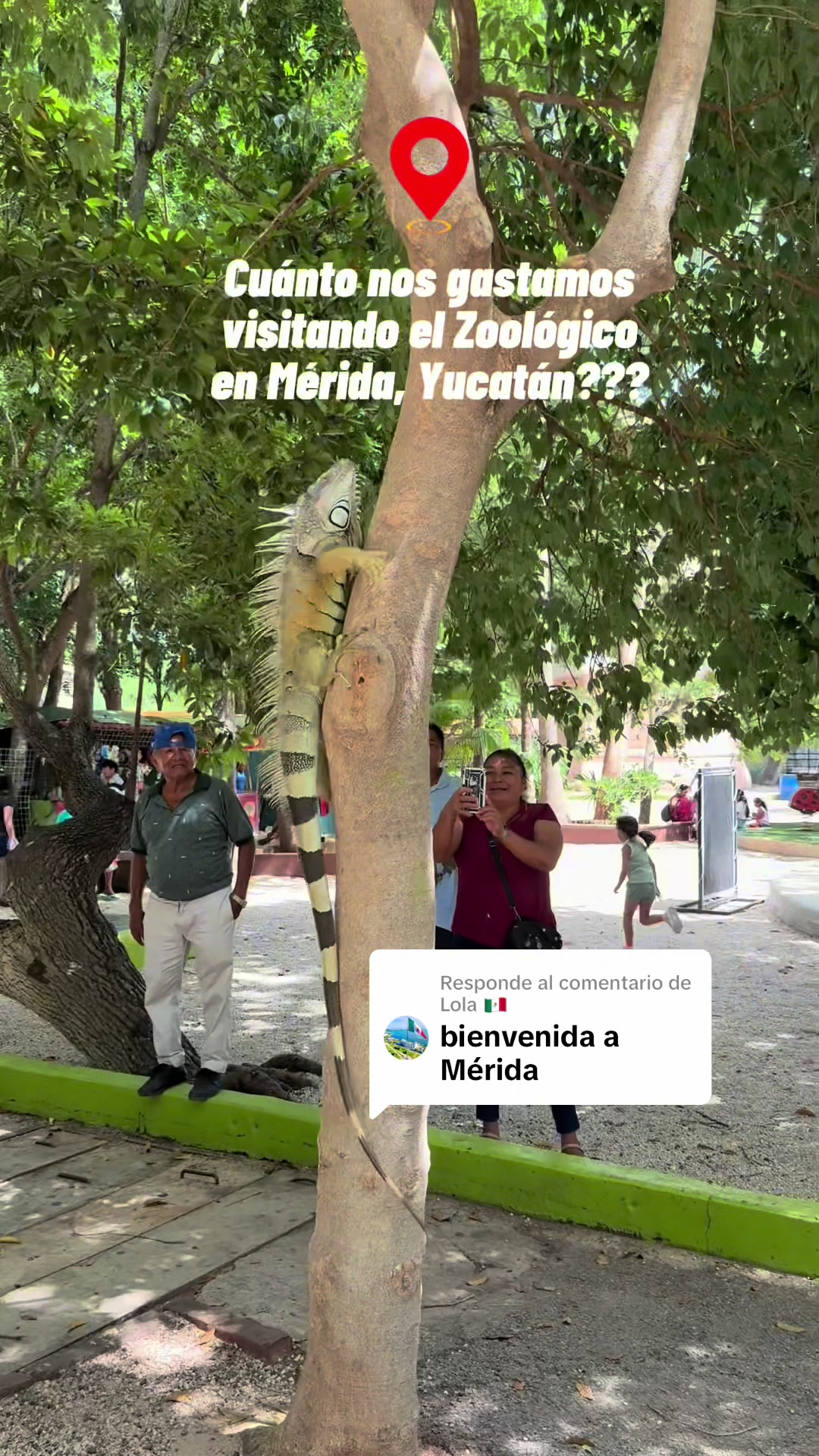 @Cinthia Oviedo