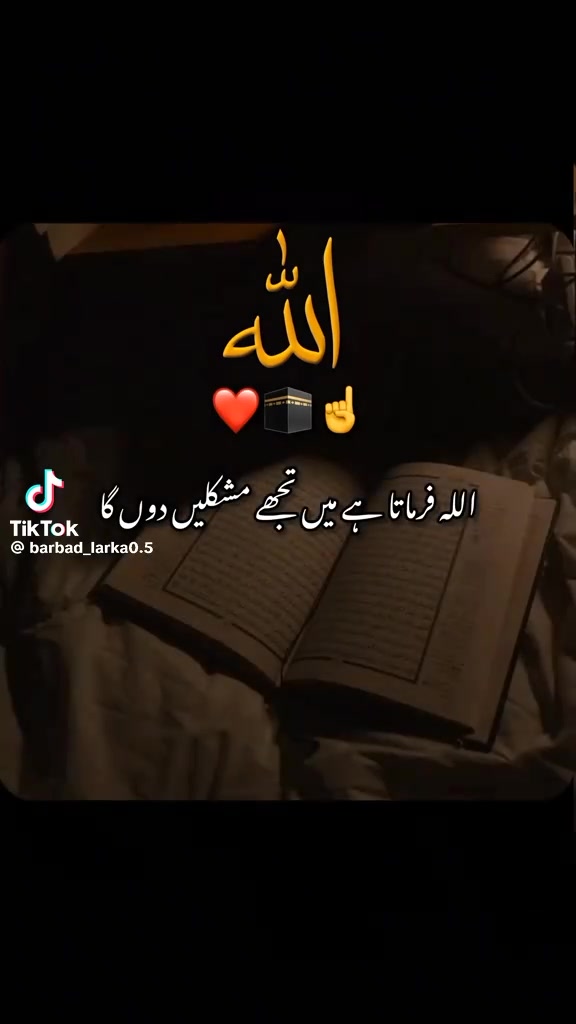 @Talib Hussain