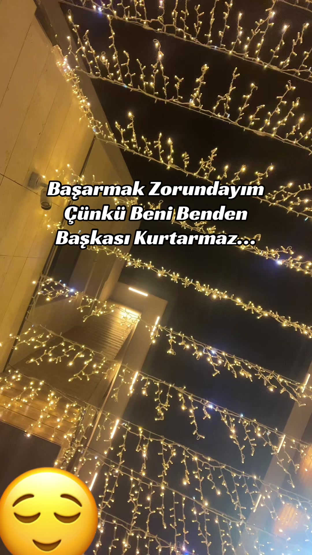 @gul.4201