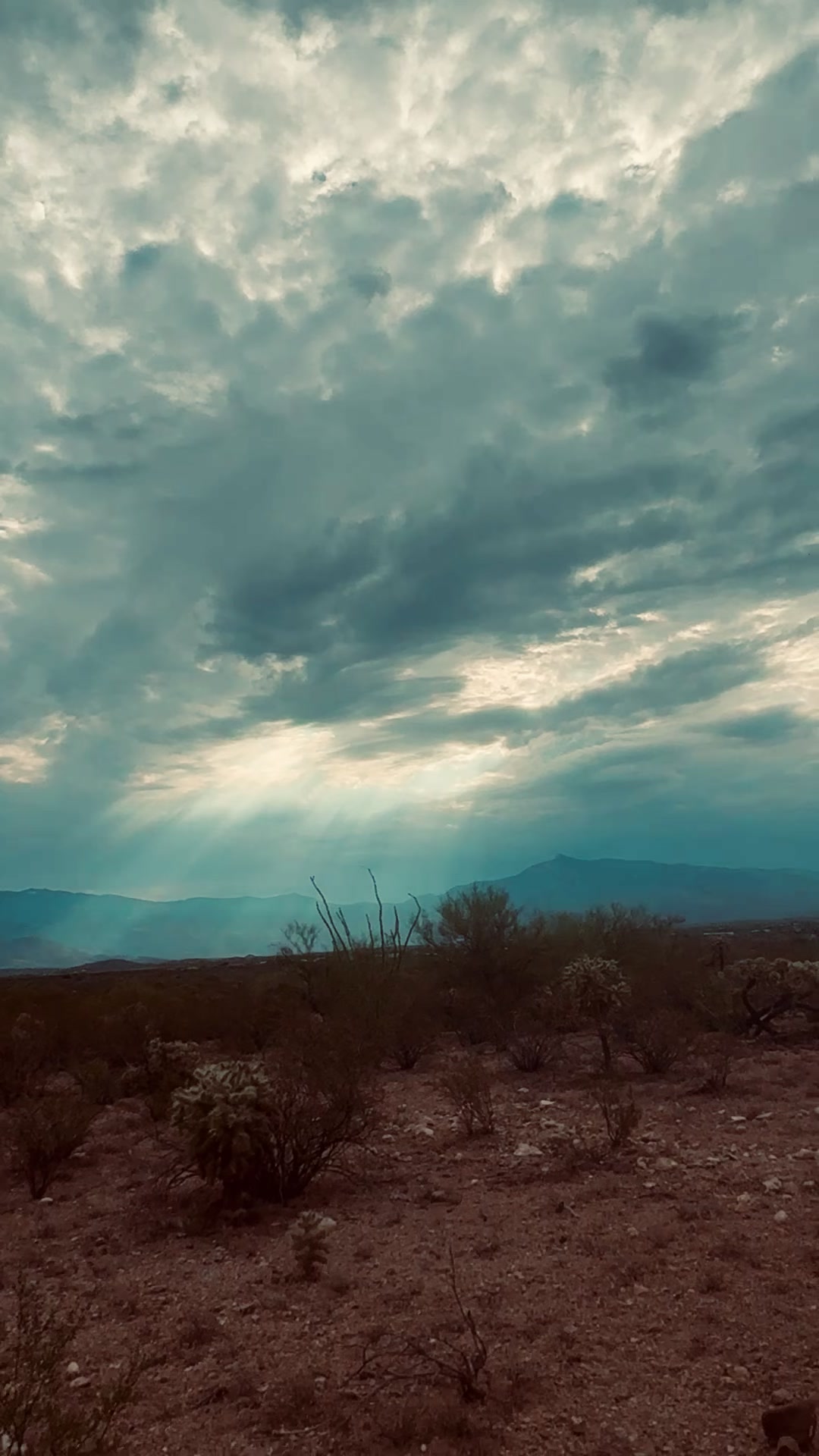 @Sundown In Sonoran