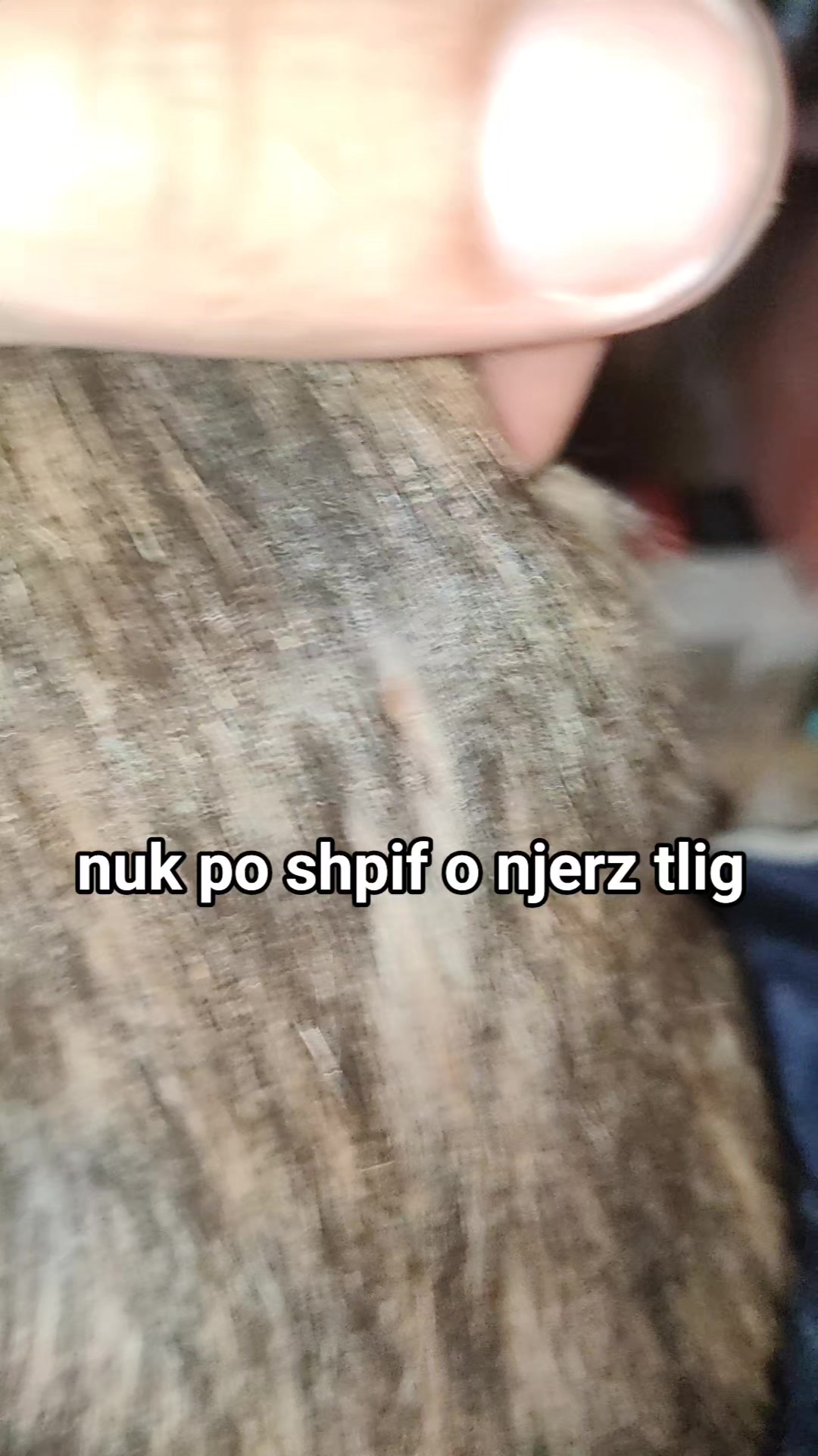 @Keberoma8
