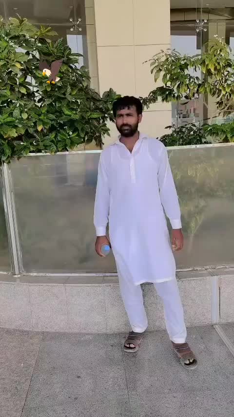 @817 Pardesi Jaan