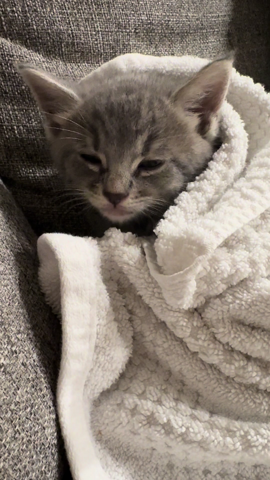 @LotsOfCat