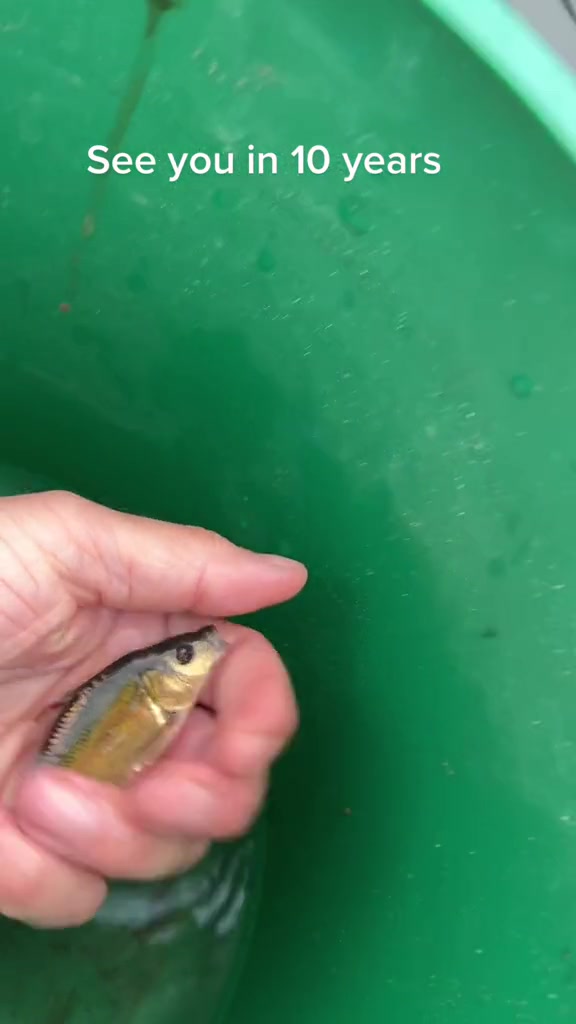 @Simon Bates Shimano Fishing