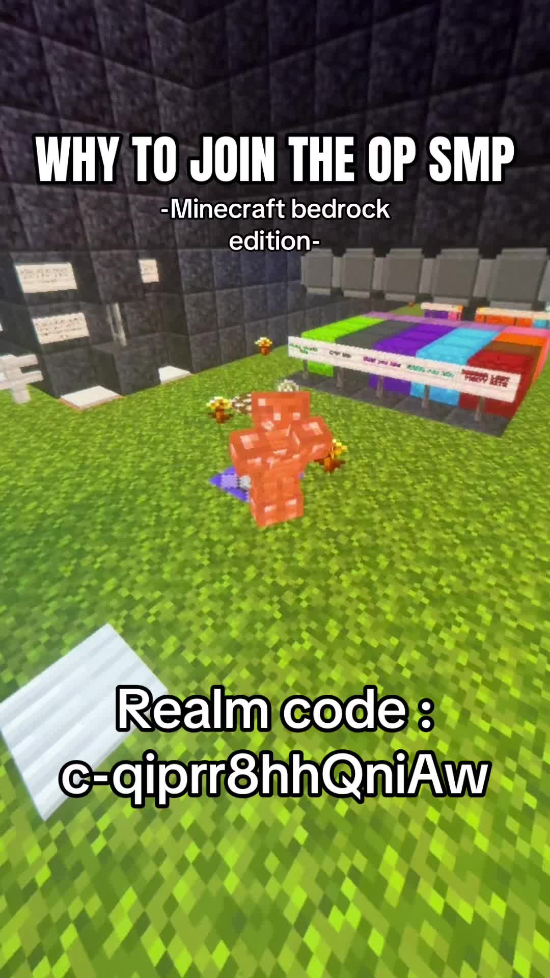 @OP SMP | bedrock realm