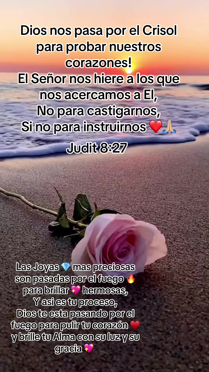 @Juanis 💜