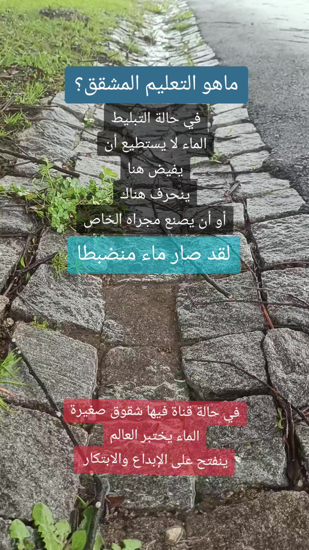 @IMMI