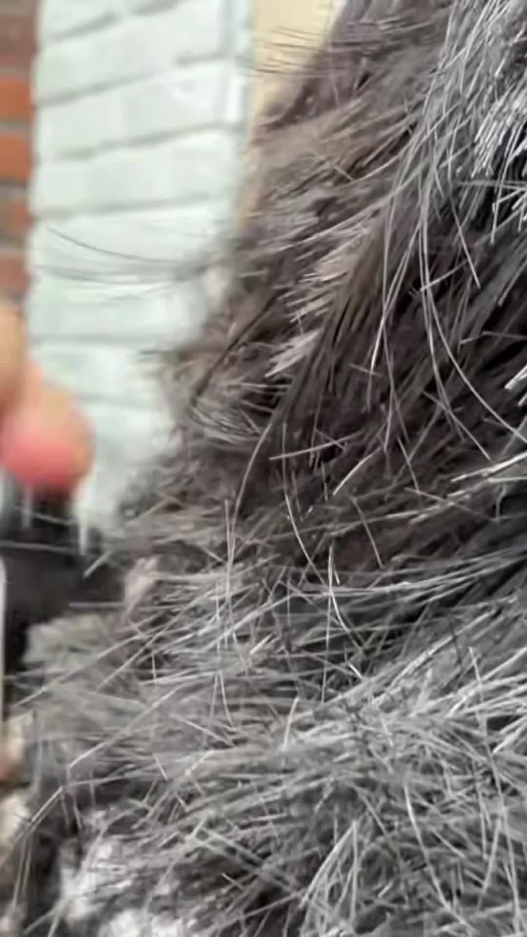 @HAIR ASMR