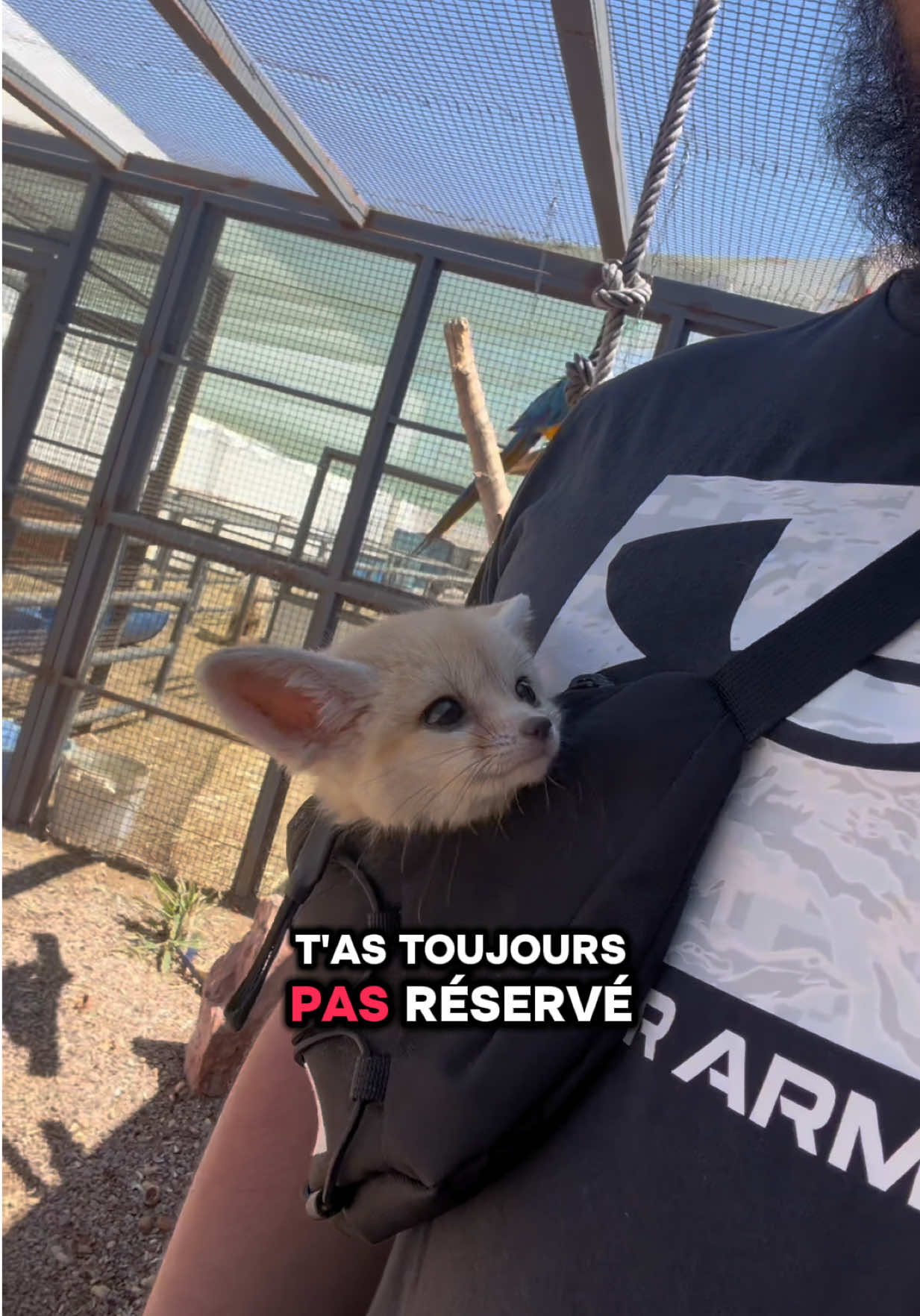 @Djerba Hill&rsquo;s(Chaoui le Fenec)
