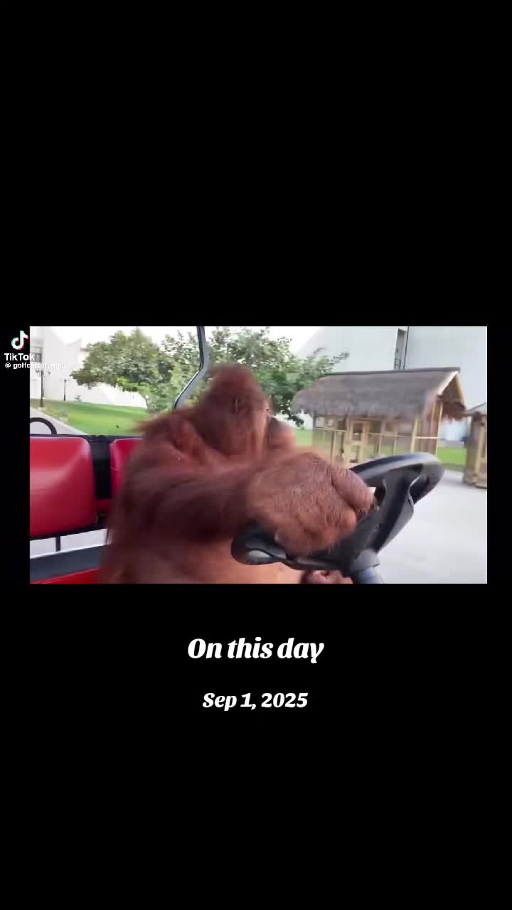 @Lorimac71
