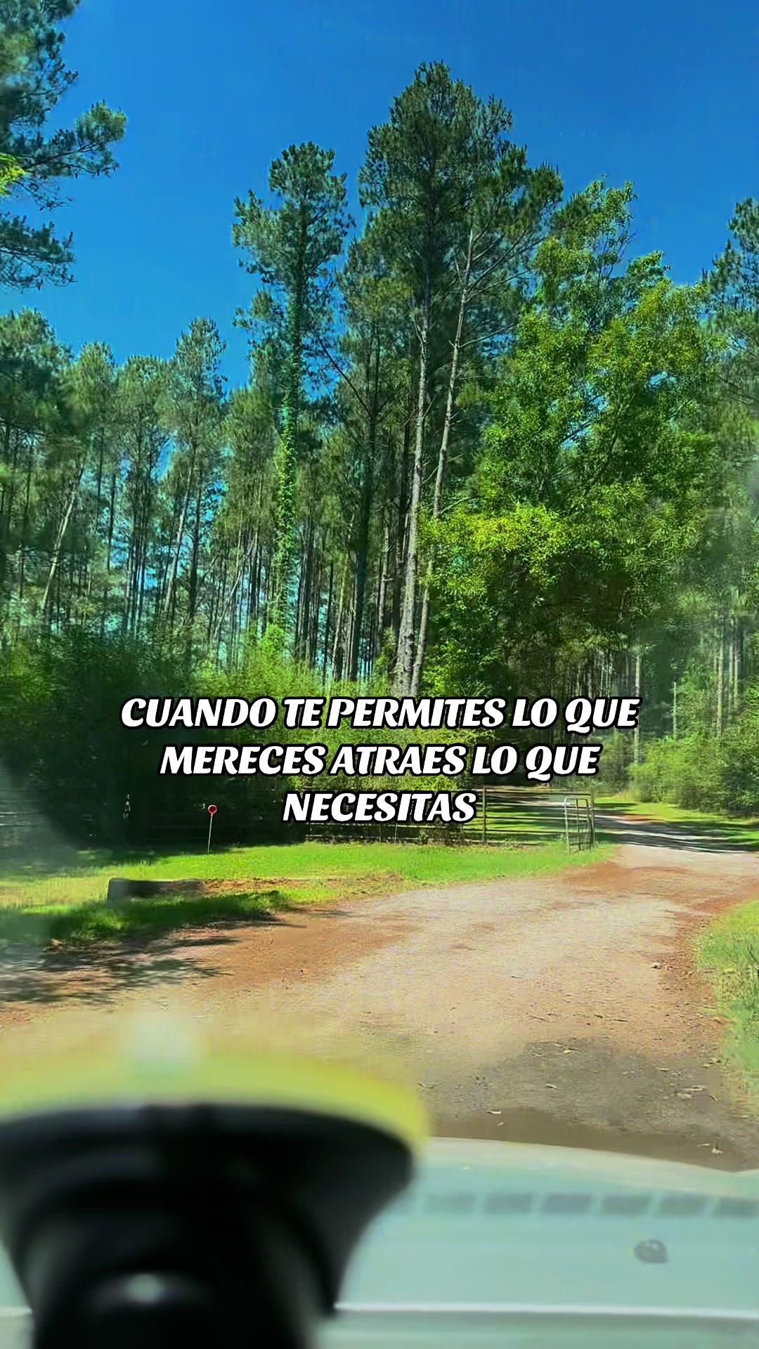 @Tingo Farias