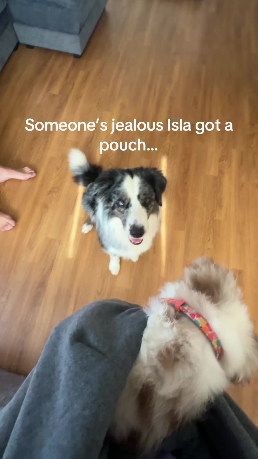 @Isla the Aussie