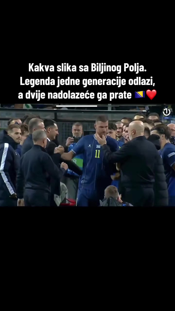 @bosnia.ai
