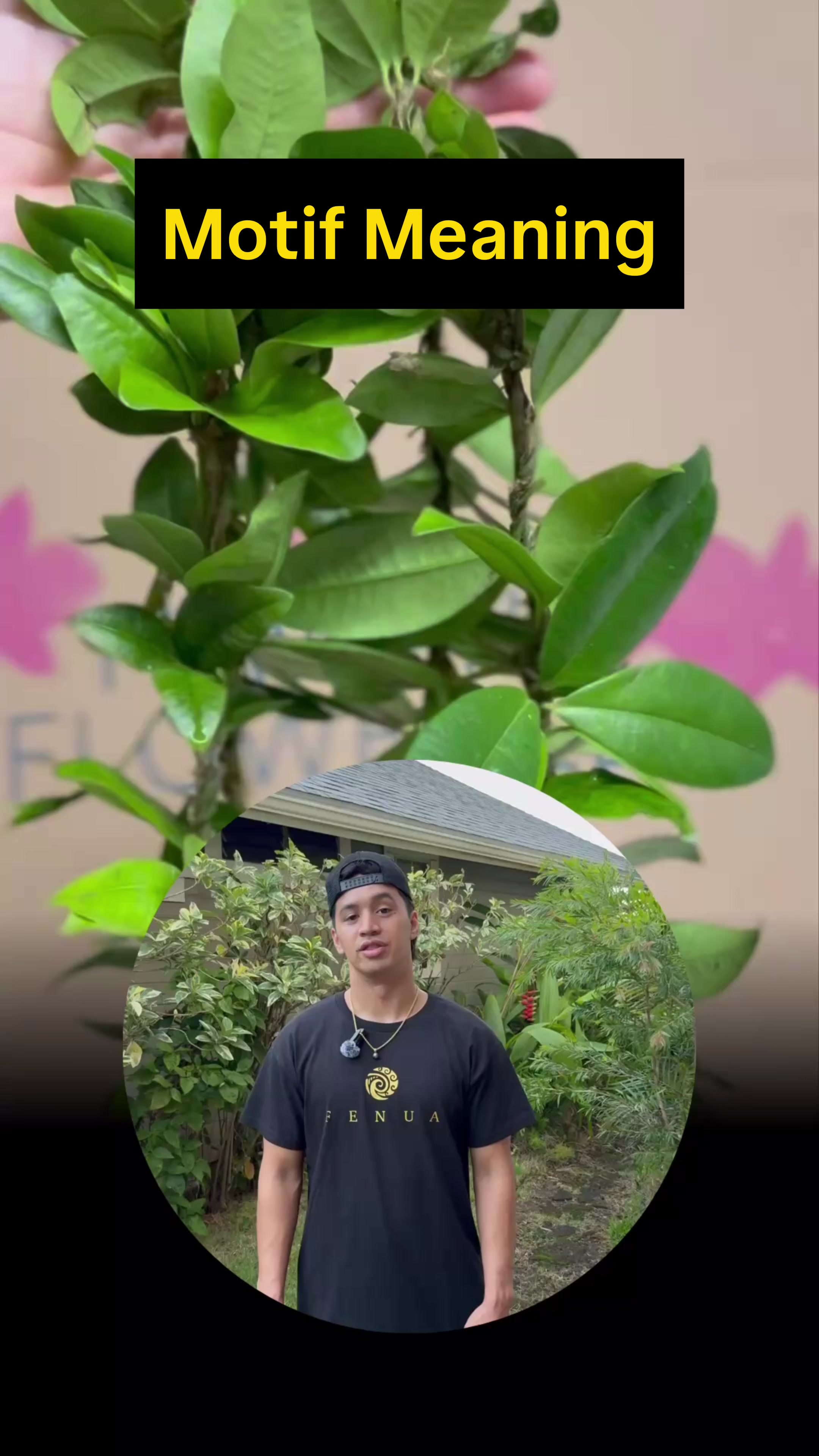 @F E N U A