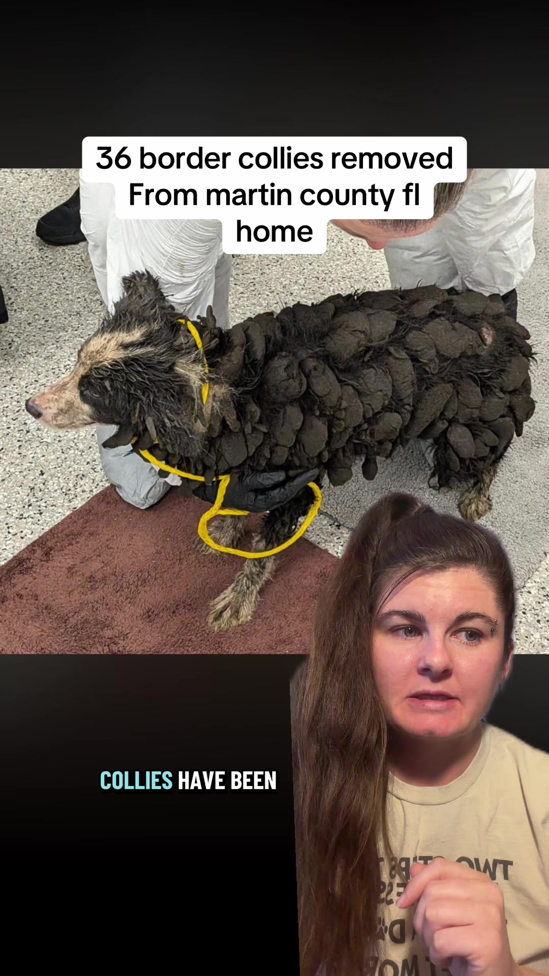 @Jess Shark🐾DOG PACK🐾