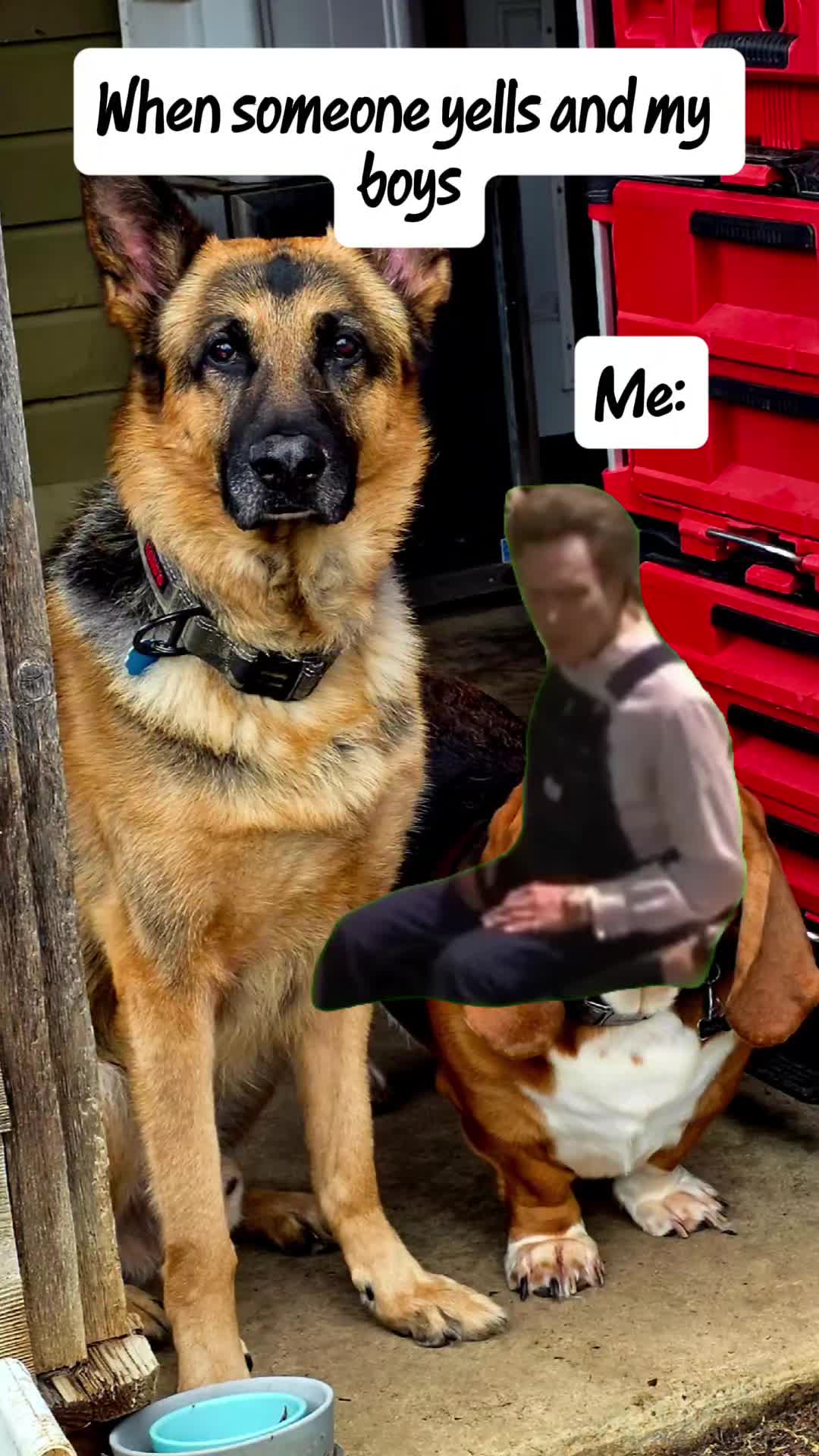 @holybutfunny