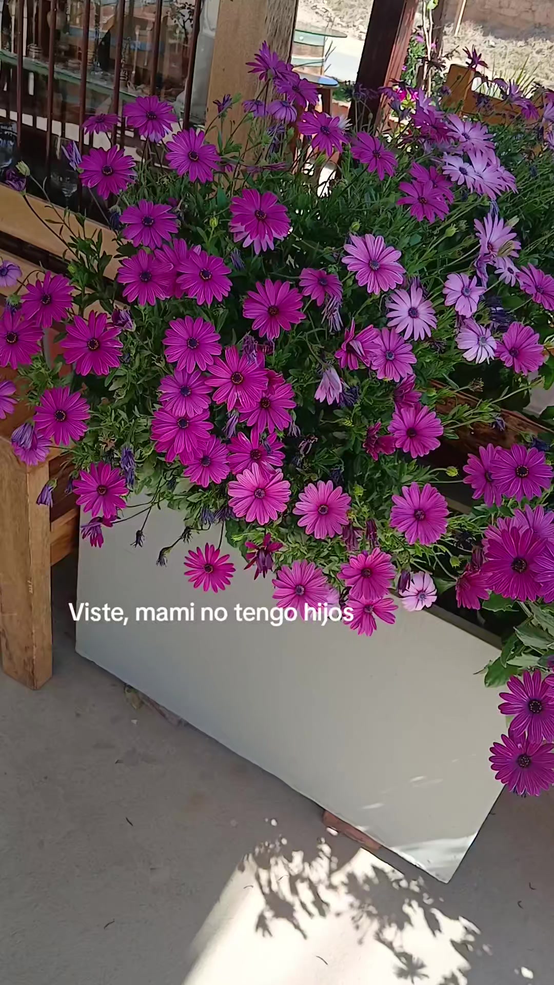 @💞Cynthia💞