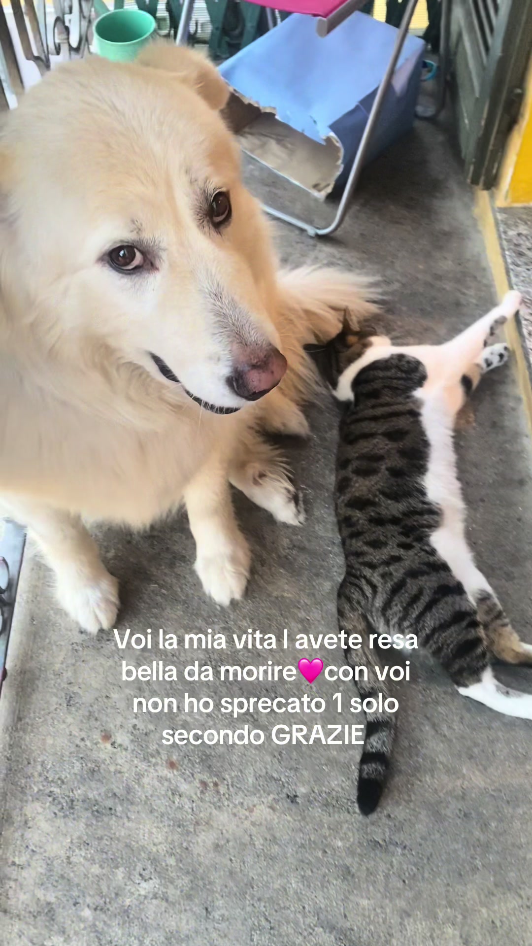 @Tizzi e i suoi pelosi😍😍