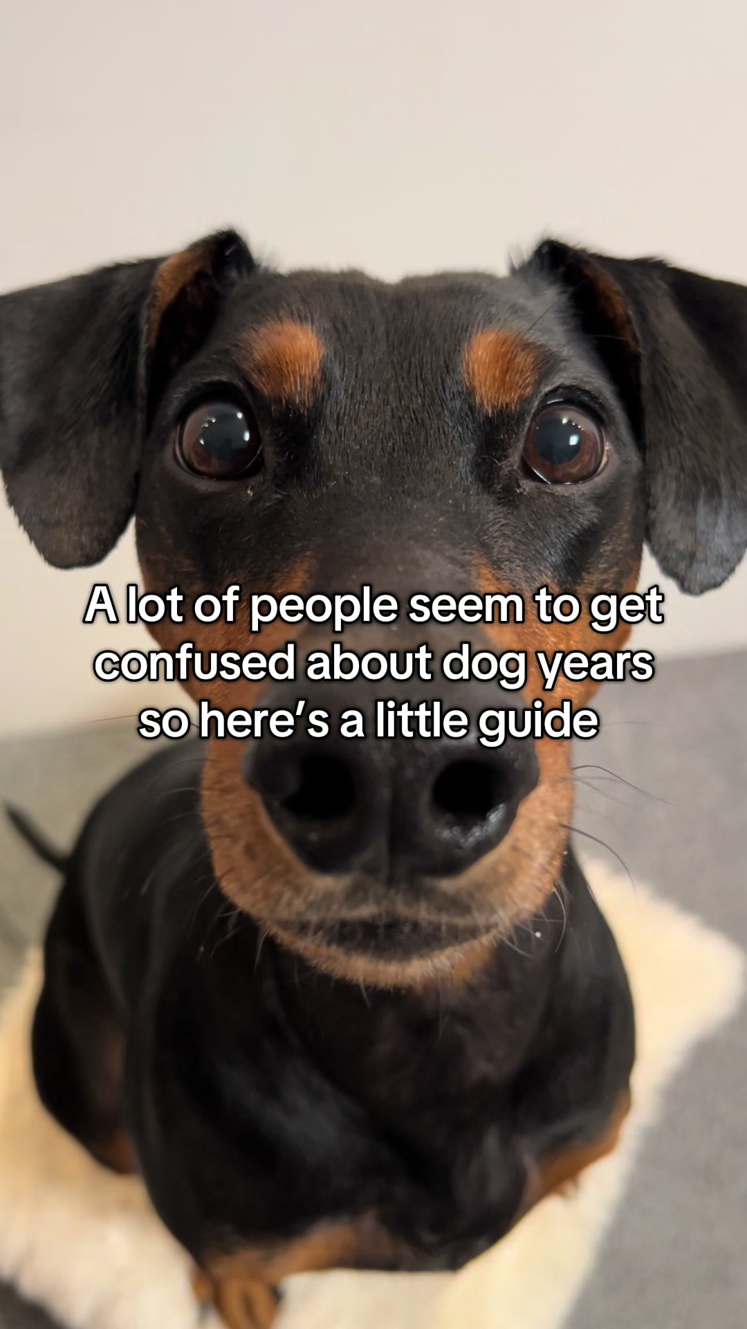 @AlvaTheHotDog