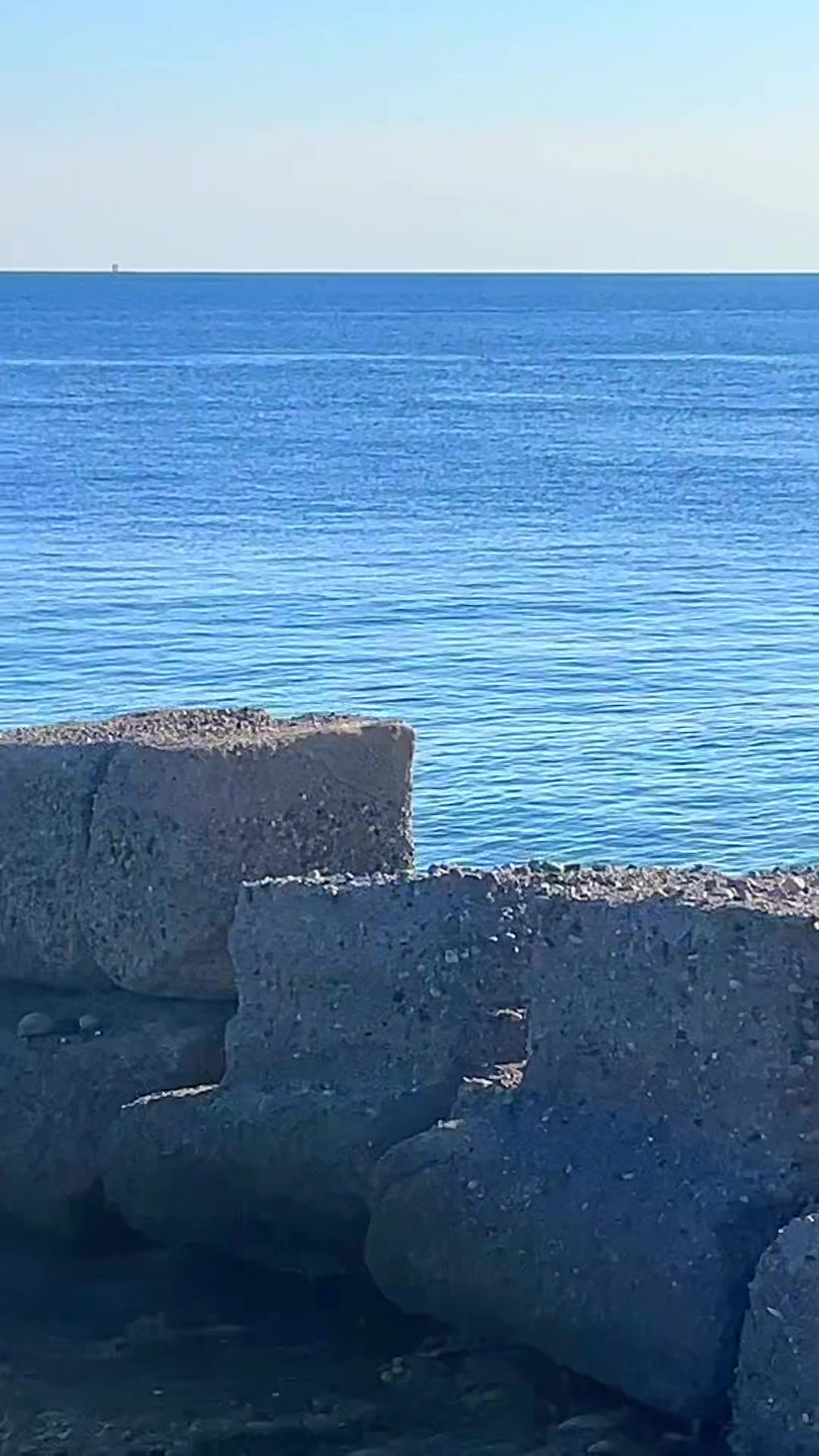 @Angelo Basile