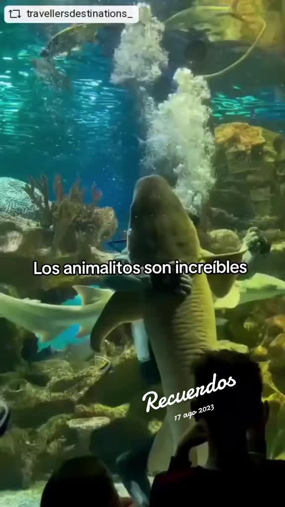 @Charlotte🐕🦺🐈🐕🦬🐐🐎🐄🐒