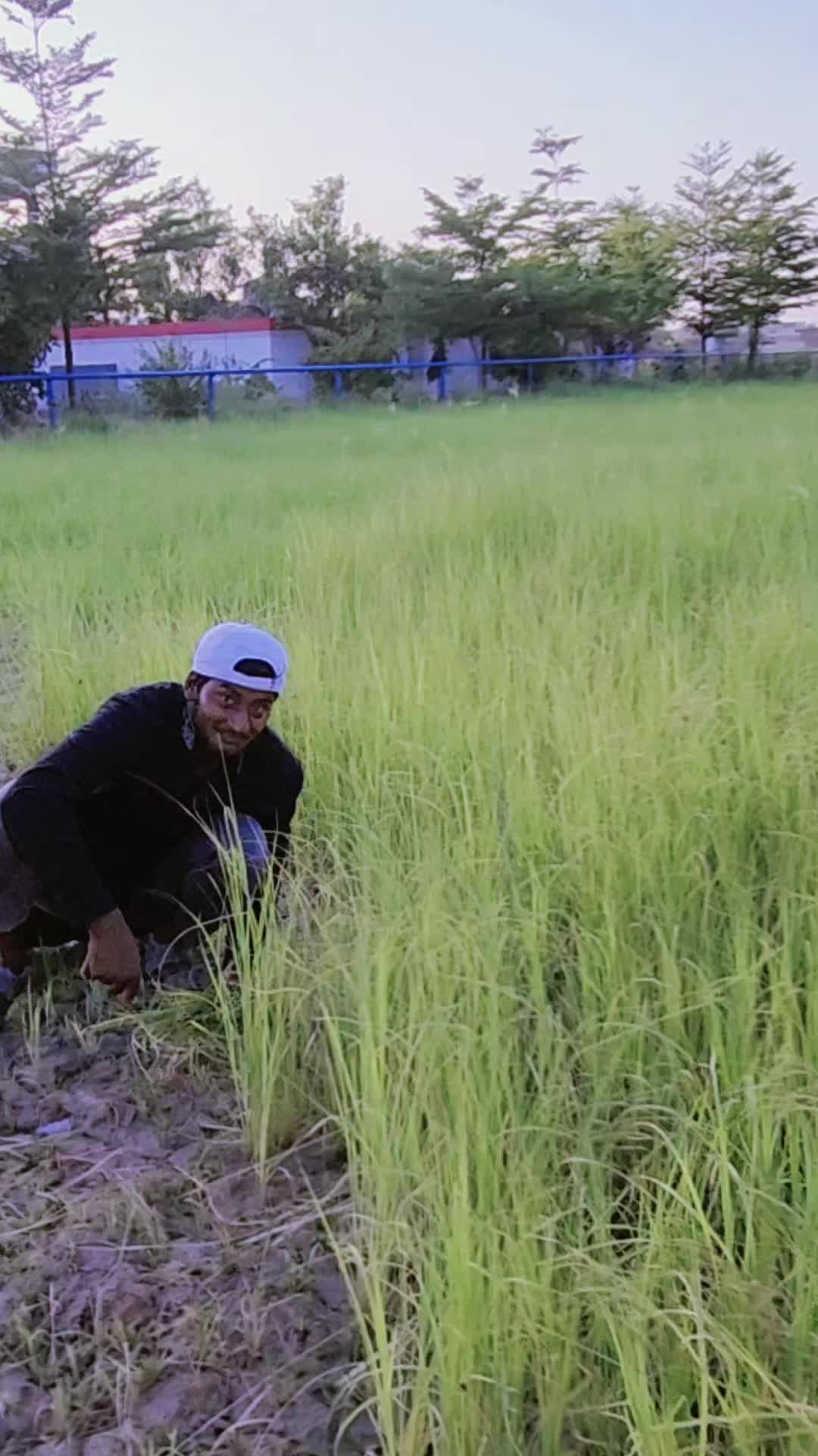 @amrakalan5
