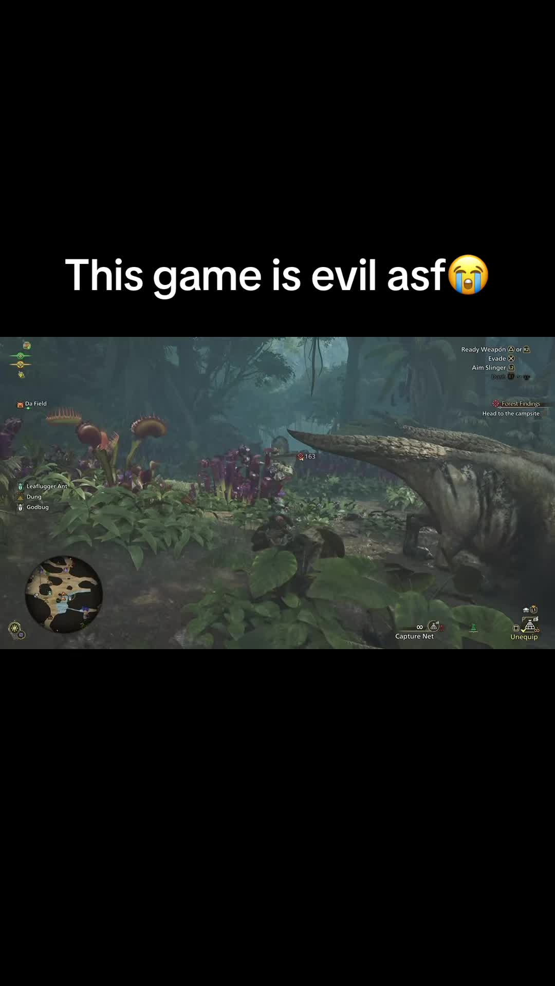 @Boon