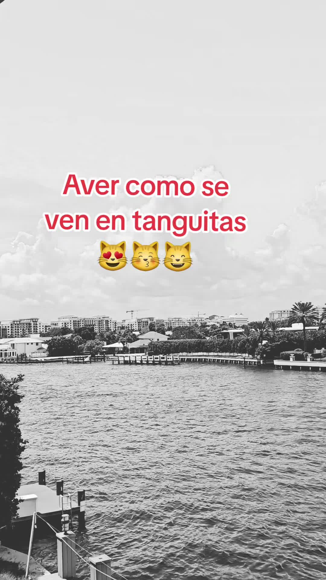 @Gabrielito 502