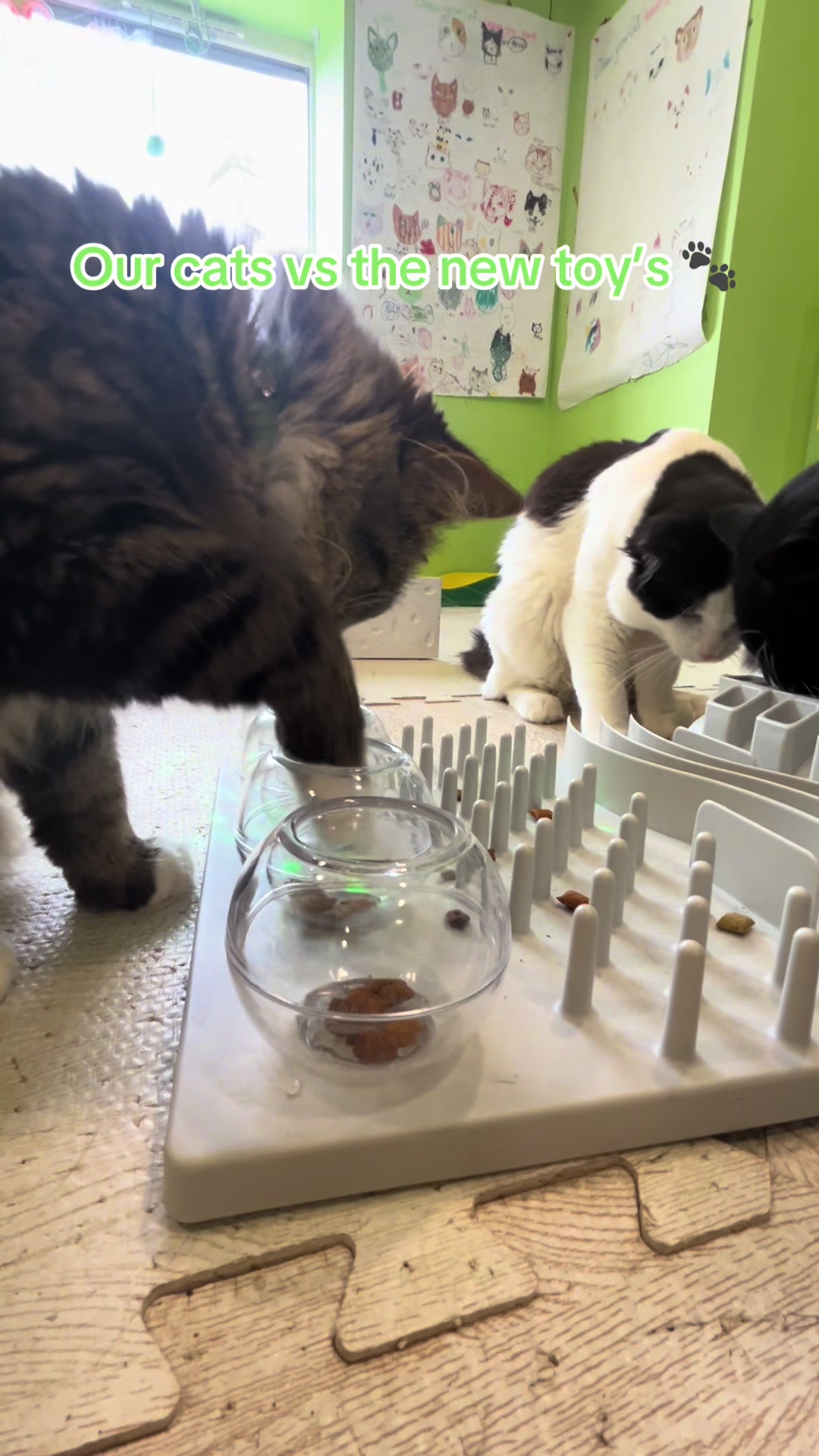 @Purrfect Café