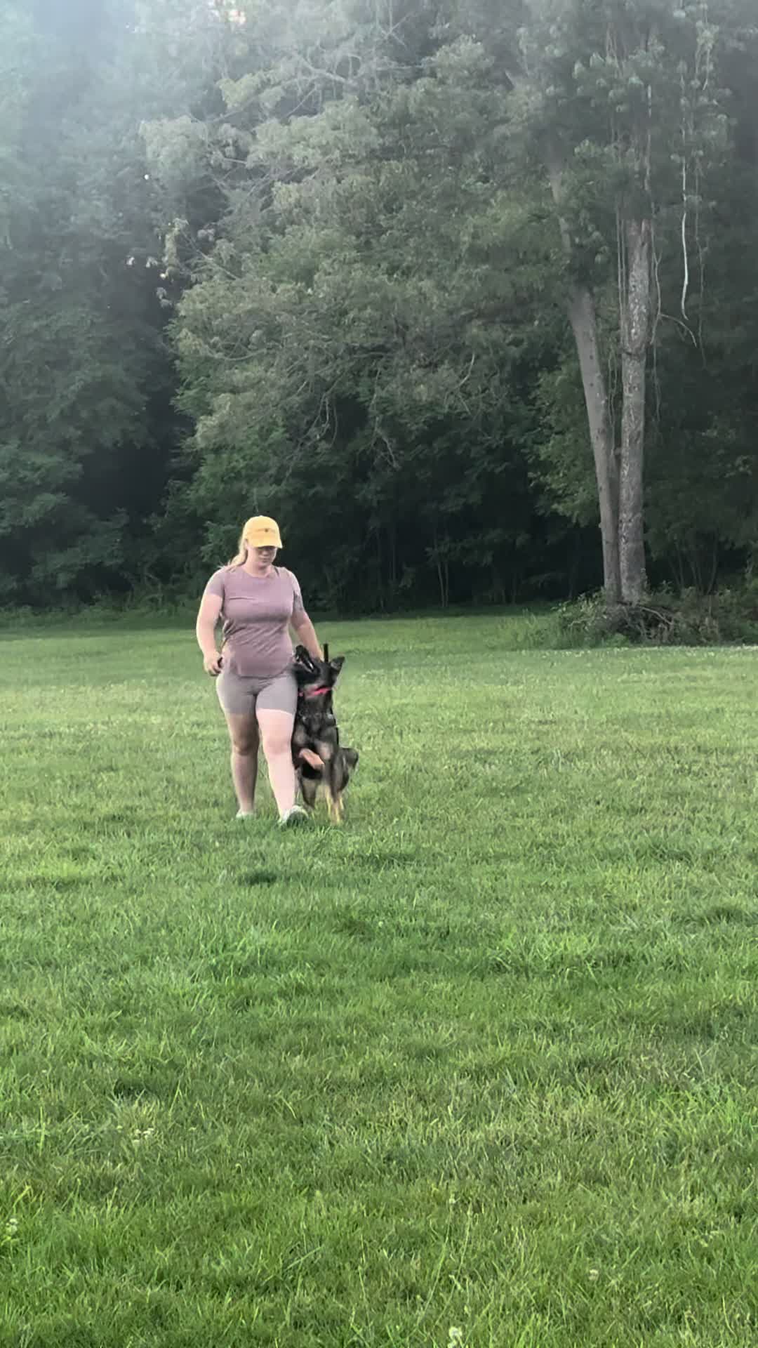 @Dog Trainer Charlotte