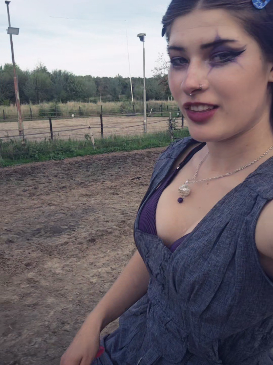 @Dino and horses