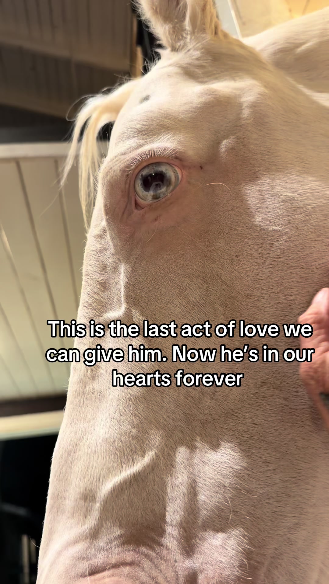 @runswiththeherd