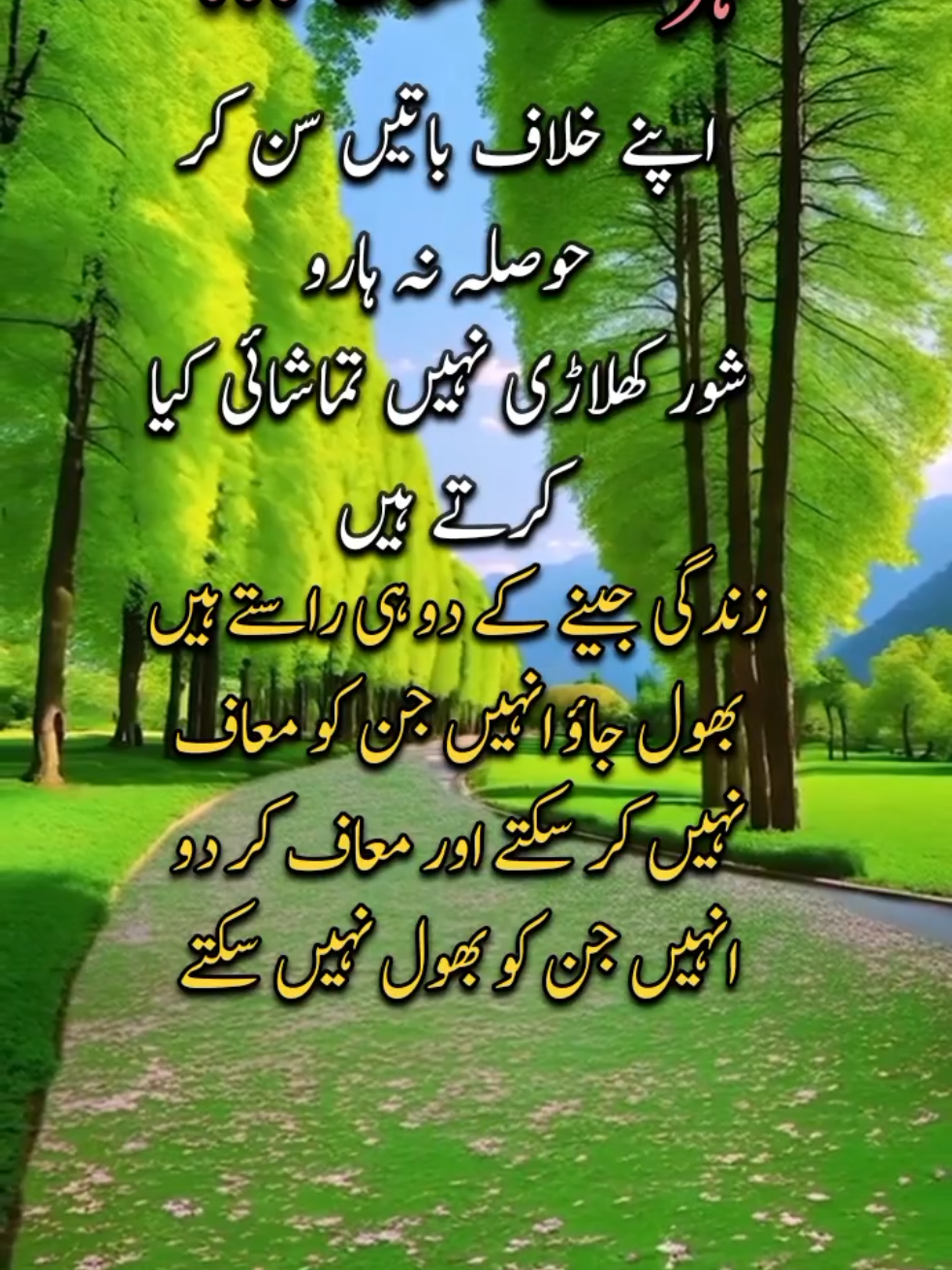 @Motivation Qoutes