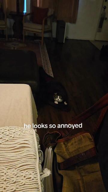 @BreAnna