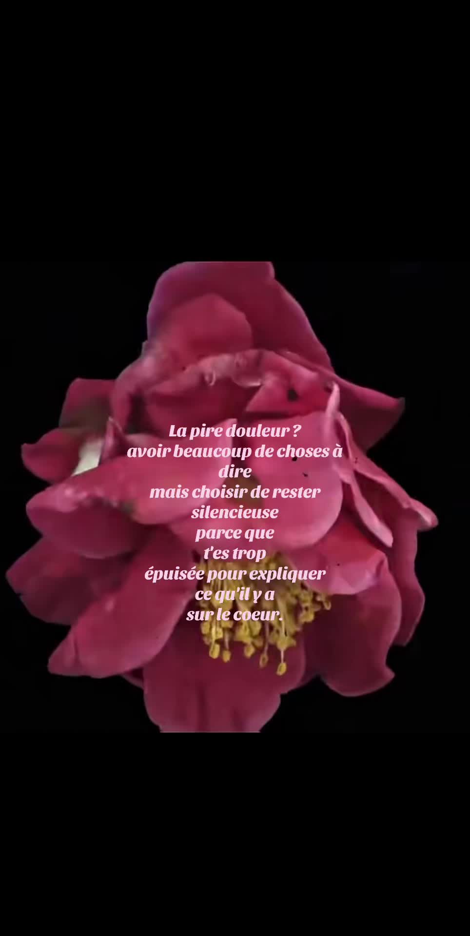 @ꨄ