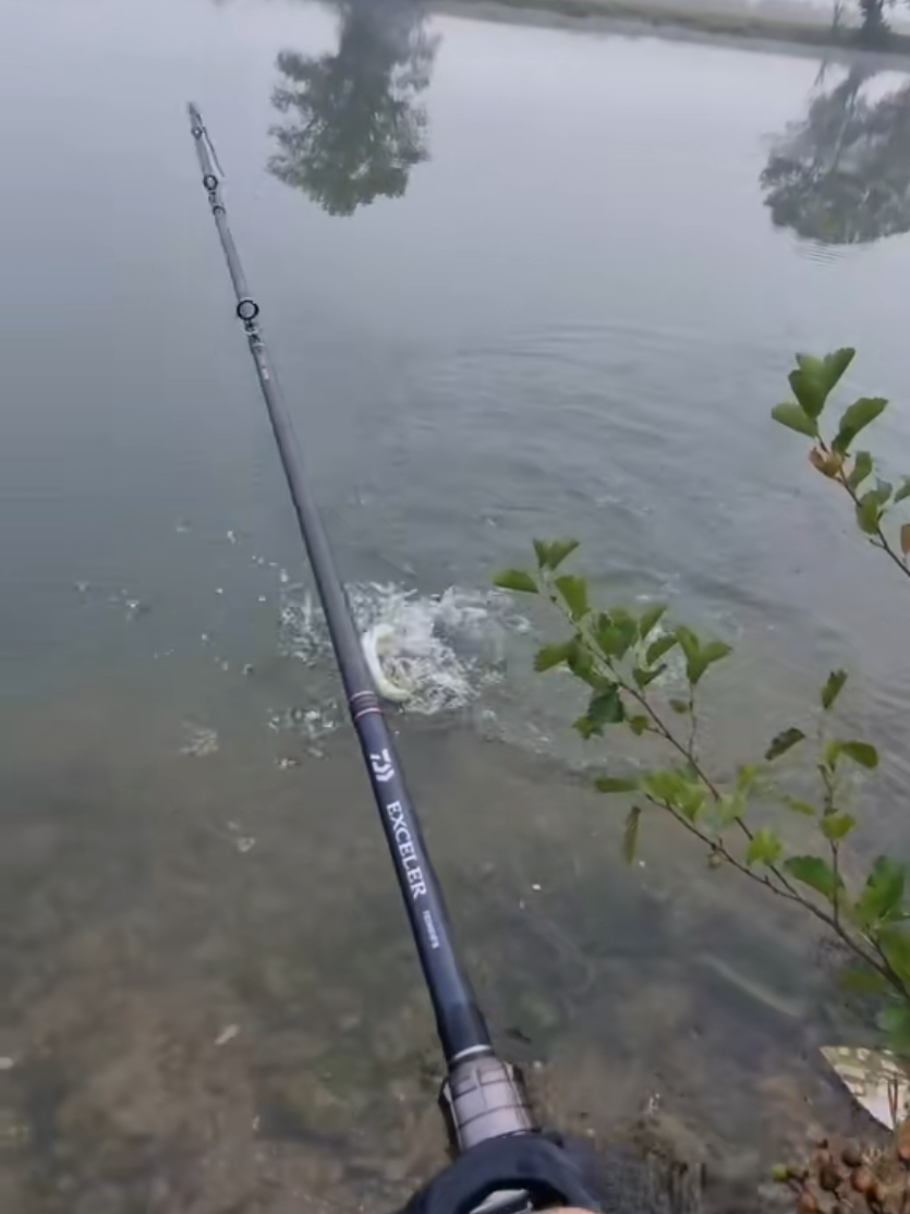 @🎣Max.Fishing27🎣