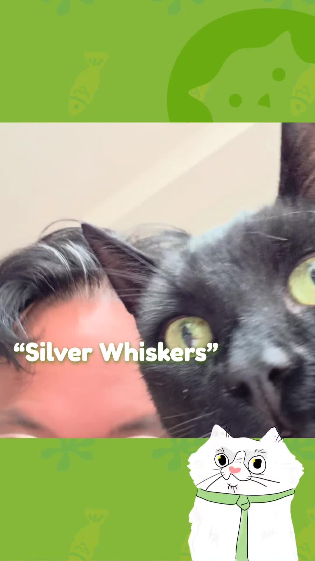 @CatSwoppr