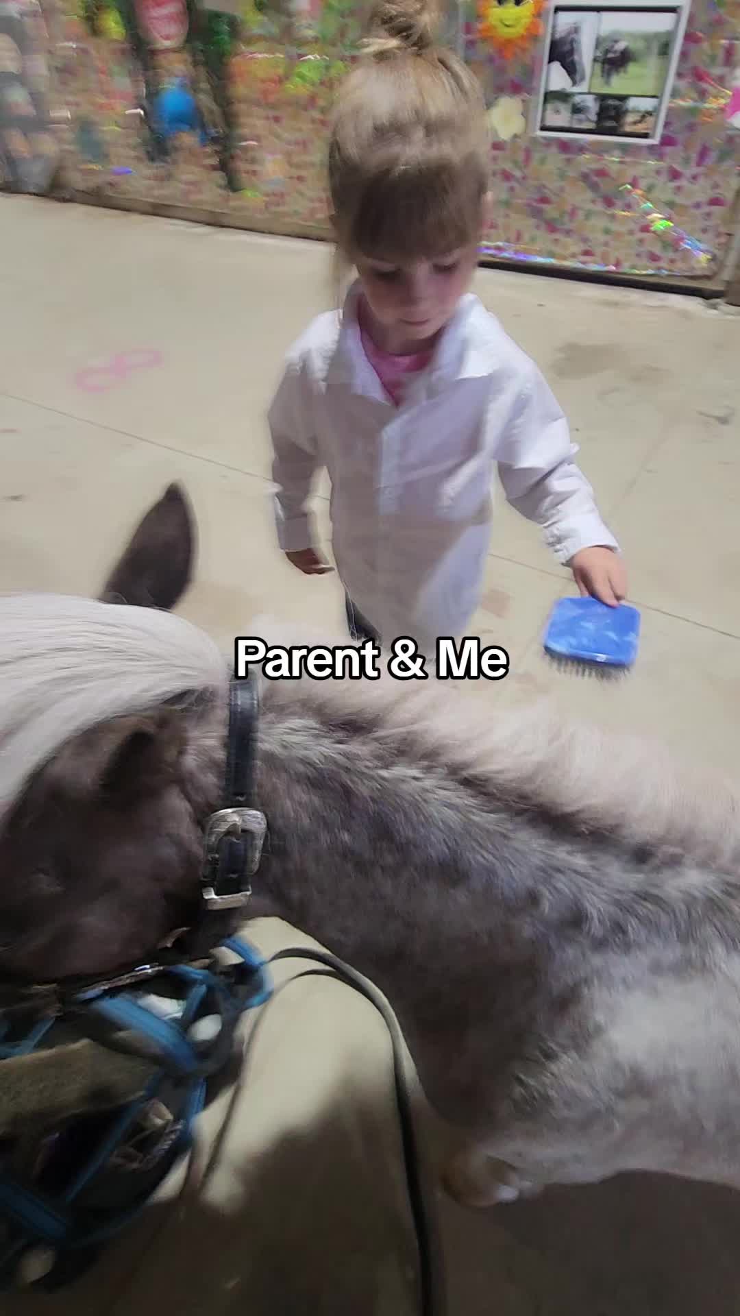 @minihorsemomandtrainer🐴🐴🐴🐴