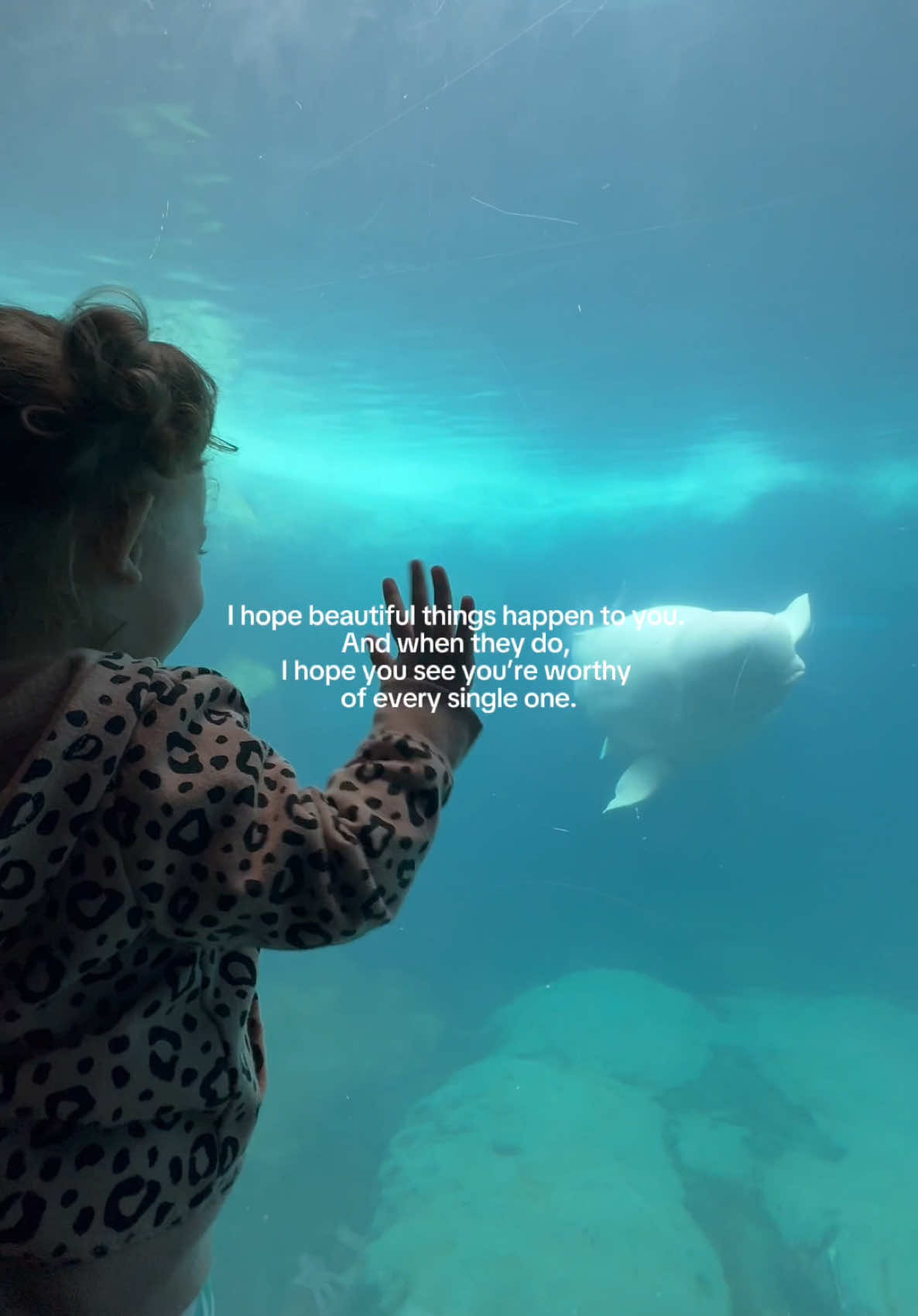 @Amanda