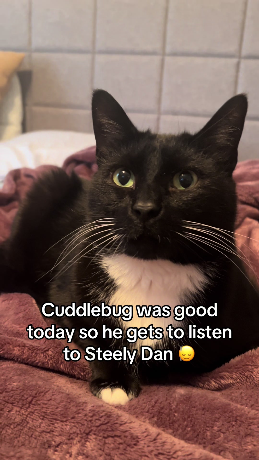 @CuddleBug