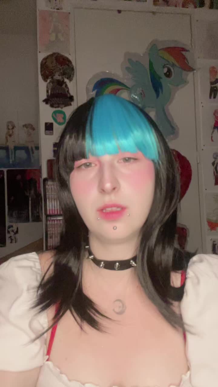 @🐱