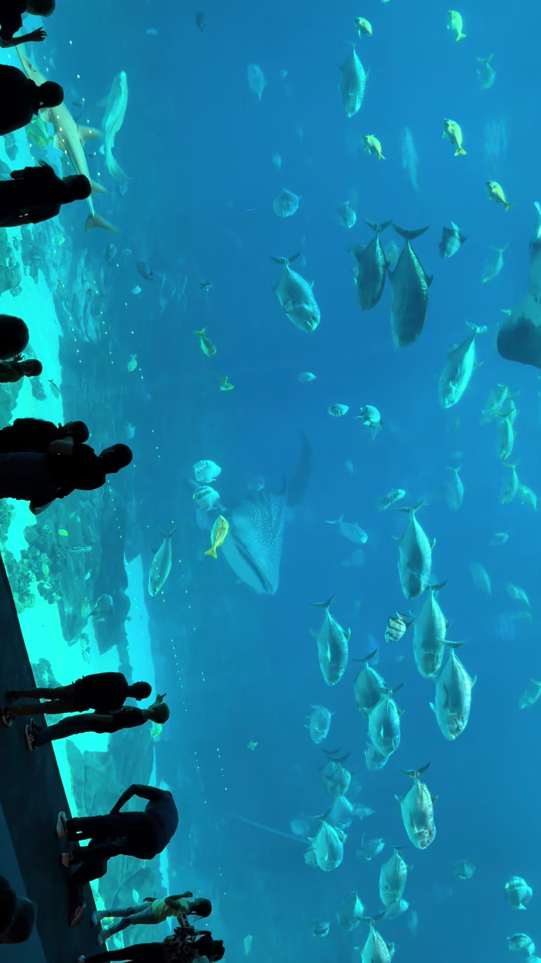 @em 💕