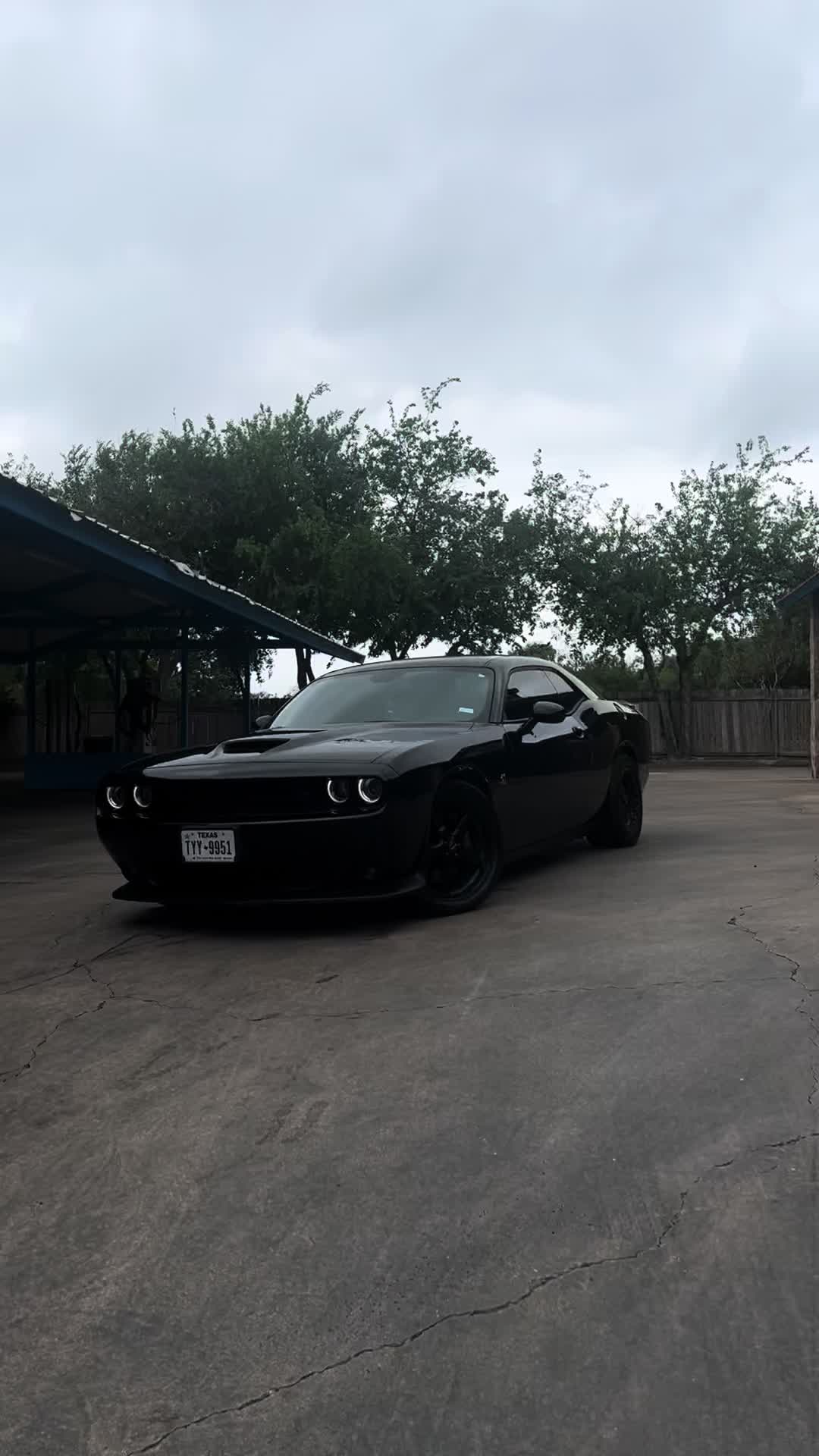 @j.scat99