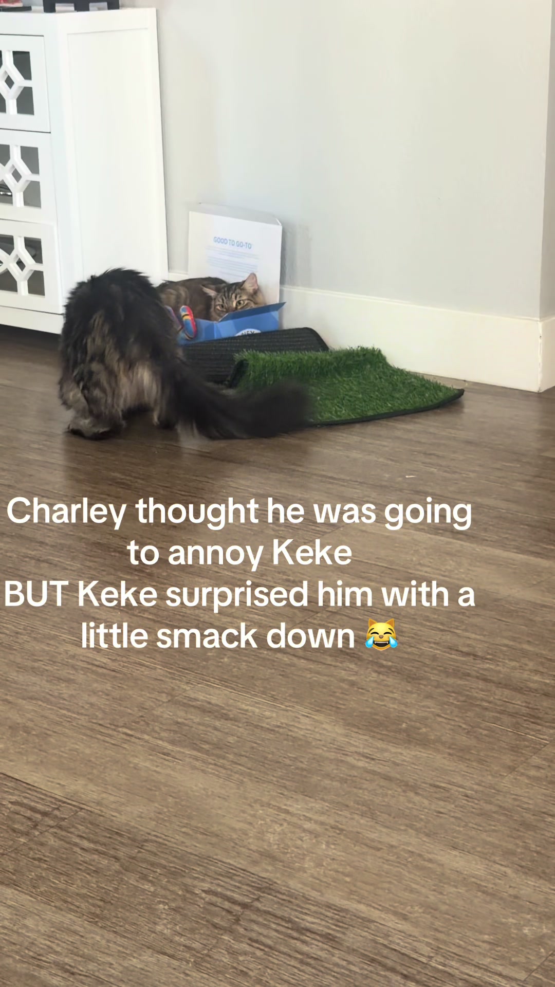 @Charley
