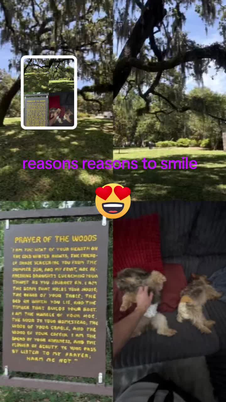 @Lisa