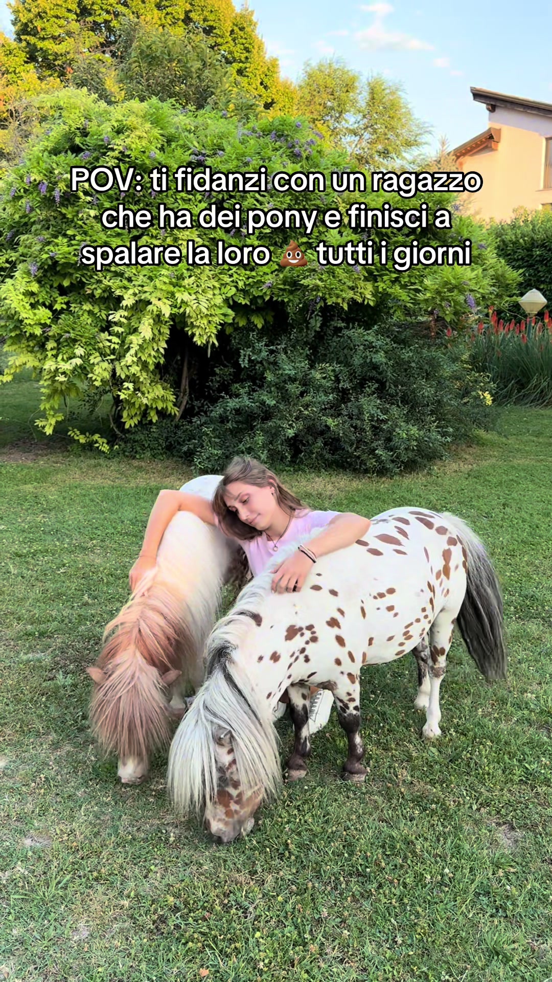 @franky_loda