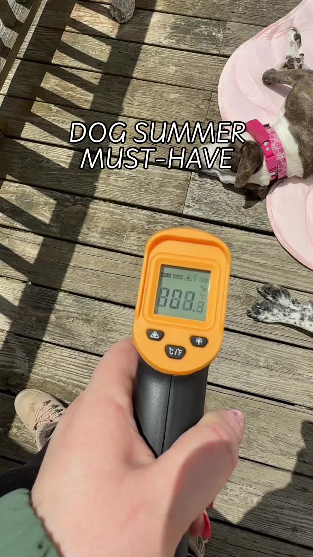 @Chelsea | Dog & Toddler Mom