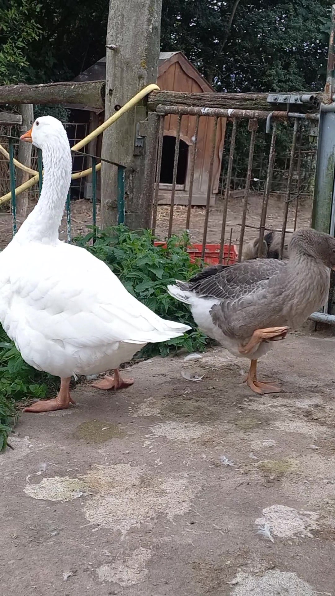 @🦚🆃𝓲𝓮𝓻🅿𝓪𝓻𝓴🆃𝓸𝓴🦚