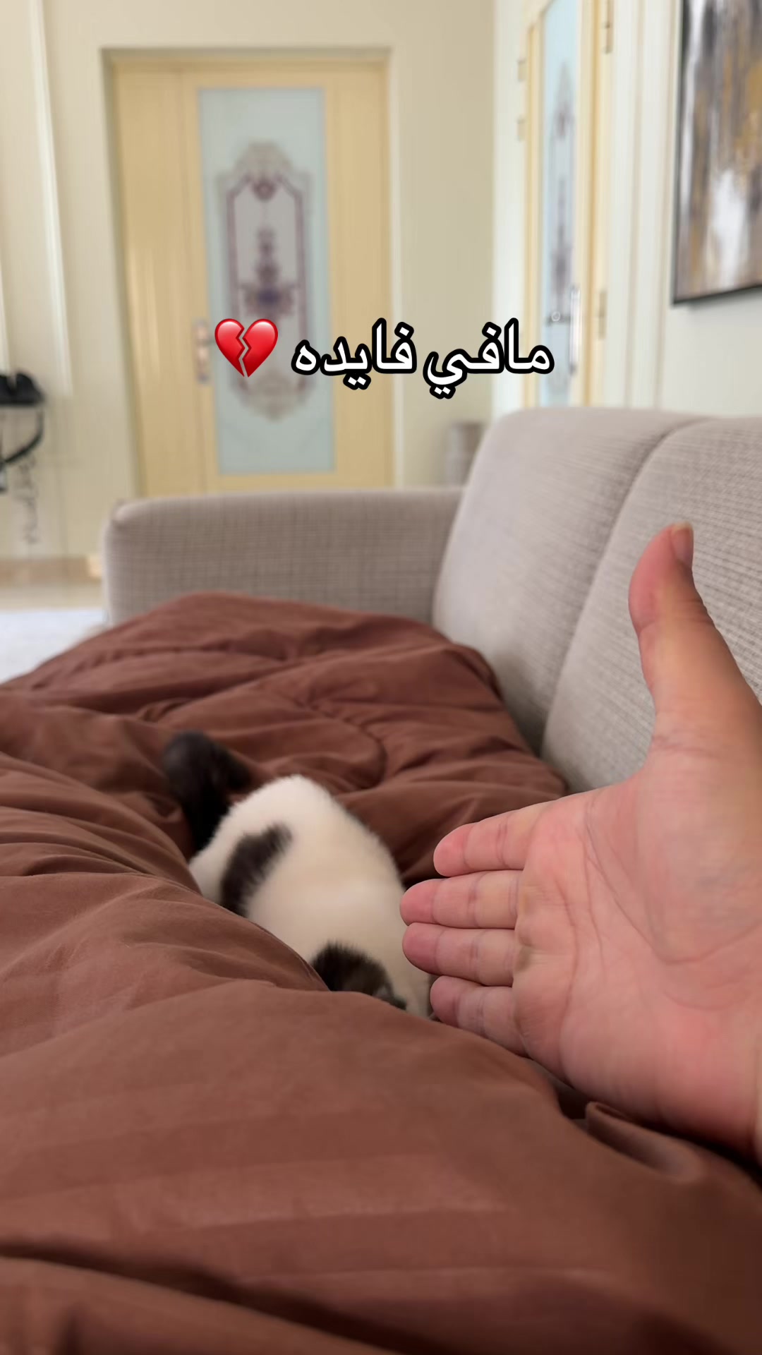 @﮼بن،حميدان • 🇦🇪 𝕋𝔻