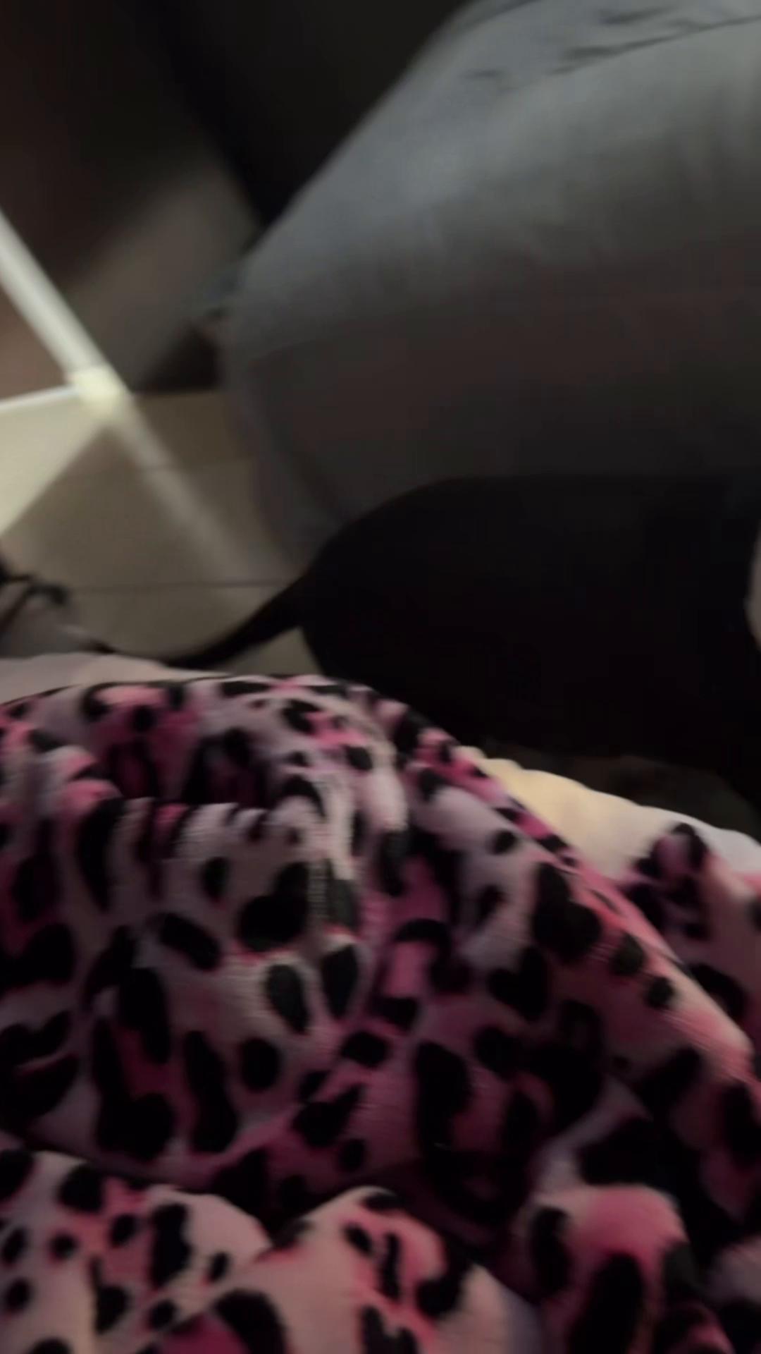 @ohthatcarol